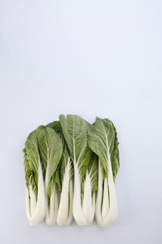 pak choy (chinese cabbage) isolated on white