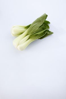 Bok choy isolated on white