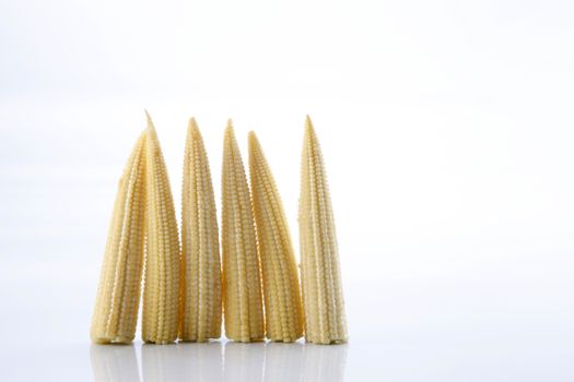 Baby corn on a white background, close-up