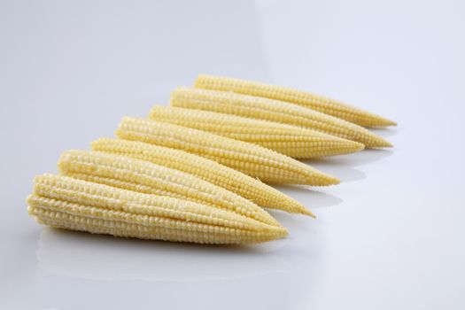 Baby corn on a white background, close-up