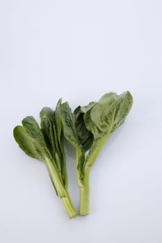 Chinese mustard green on white background