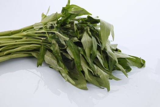 Water spinach isolated on white background