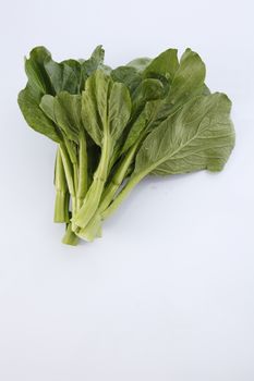 Chinese mustard green on white background