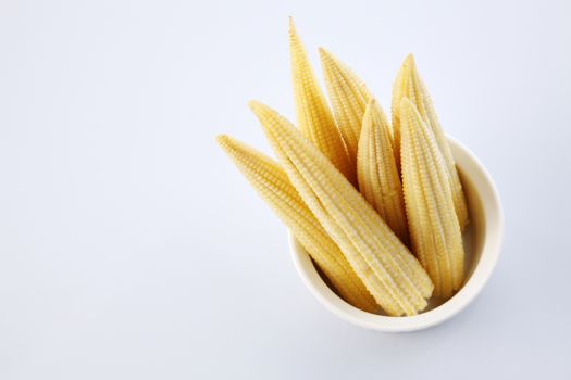 Baby corn on a white background, close-up