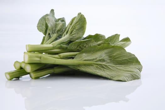 Chinese mustard green on white background