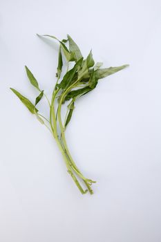 Water spinach isolated on white background