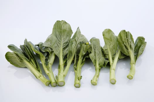 Chinese mustard green on white background