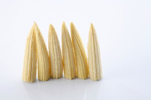 Baby corn on a white background, close-up