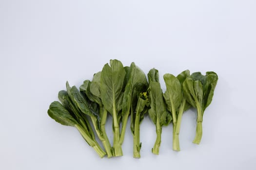 Chinese mustard green on white background