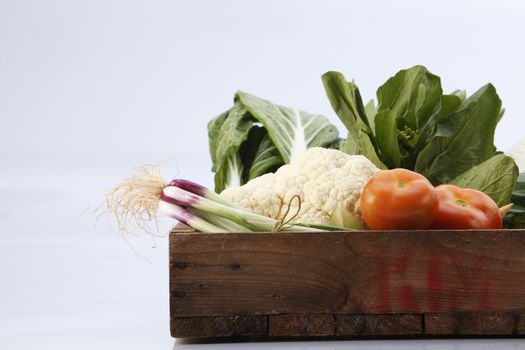 group shot of vegetables in a create