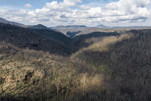 Aerial view of forest regeneration after severe bushfires in The Blue Mountains in Australia