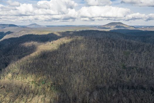 Aerial view of forest regeneration after severe bushfires in The Blue Mountains in Australia