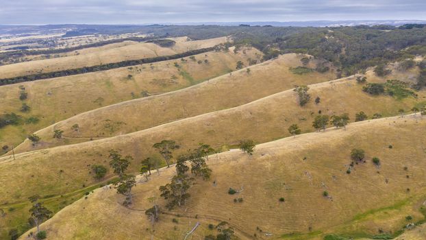 Aerial view of rolling green hills in regional Australia