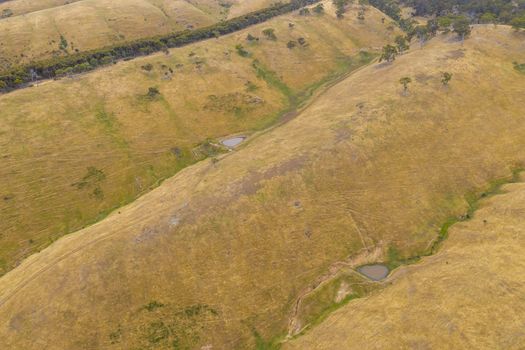 Aerial view of rolling green hills in regional Australia