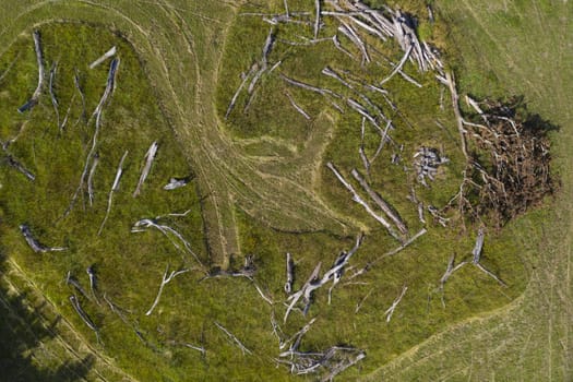 An arrangement of dead tree branches in a field in rural New South Wales, Australia