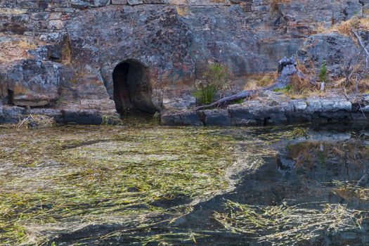 Colorful seaweed in a fresh water supply reservoir