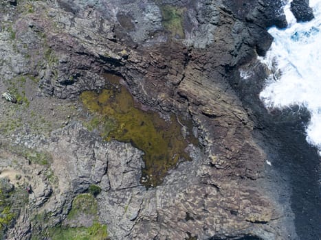 Kaleula Head in Kiama on the New South Wales south coast in Australia