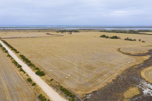 Rolled hay bales in a dry agricultural field