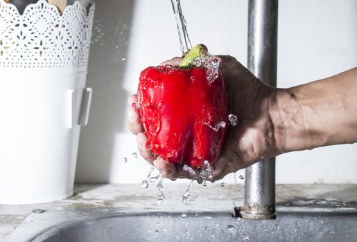 Bell chilli pepper on male hand with water splash