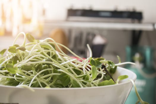  Vegetable salad, Healthy food