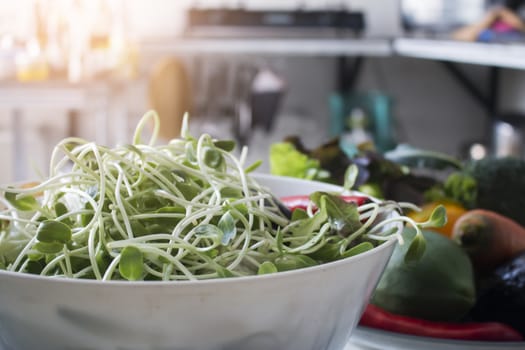 Fresh sunflower sprouts  in kitchen,Vegetable salad, Healthy food