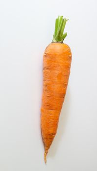 Large, fresh carrot isolaLarge, fresh carrot isolated on a white backgroundted. High quality photo