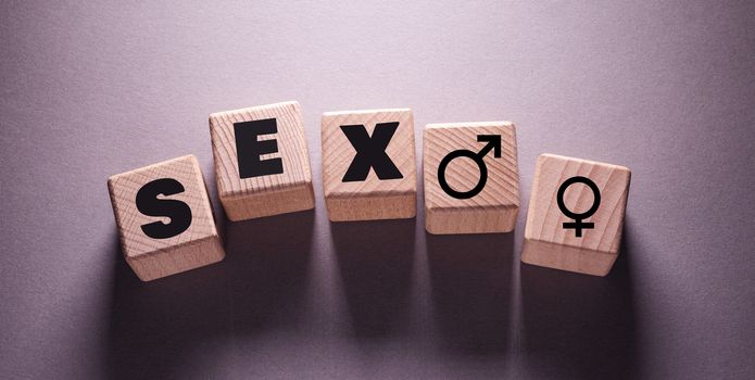 Sex Word Written on Wooden Cubes