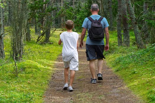 son and father are walking in a summer coniferous forest, on a summer sunny day