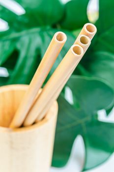 Close up bamboo straws with green leaf. The Green product eco friendly concept.