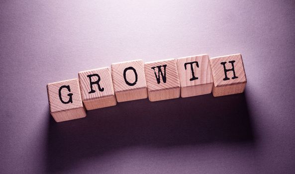 Growth Word Written on Wooden Cubes