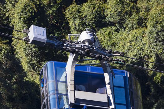 A small cable car travelling amongst trees in a forest on a mountain