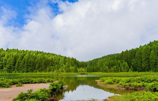 Lagoa do Canario. View of the green lagoon of Canary lake in Sao Miguel island, Azores, Portugal on a beautiful sunny say