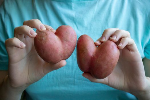 A woman in a blue t-shirt holds a heart-shaped potato