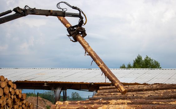 Logging, sawmill. Manipulator for loading wood. The loader of boards and logs works against the background of a stormy sky