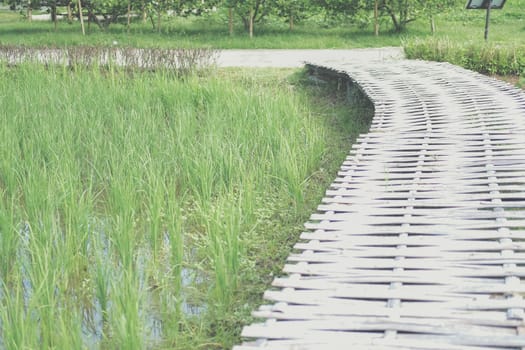rice paddy field & wooden bamboo footbridge bridge