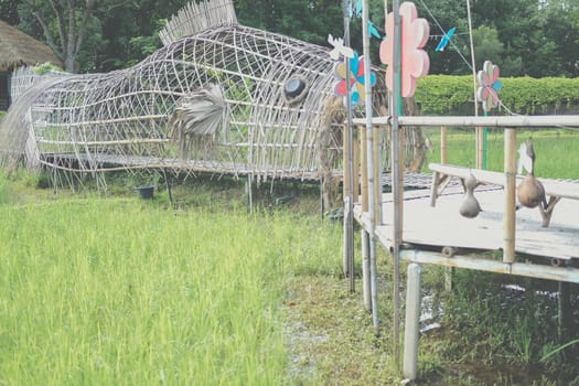 rice paddy field & wooden bamboo footbridge bridge