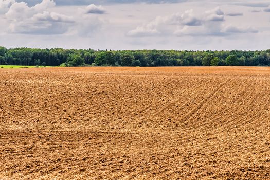 Cultivated Land in The Countryside on a Summer Evening With Blue Sky and Trees Background. Tilled Farm.