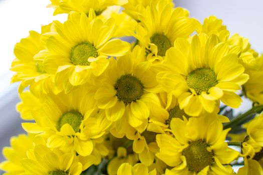 Yellow chrysanthemums in a bouquet on a different background. High quality photo