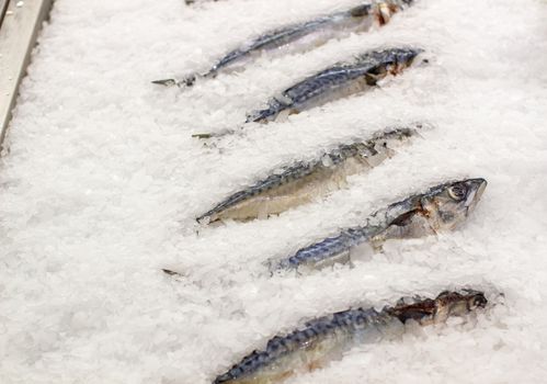 Frozen fish on the counter. Fish mackerel or herring in a store or restaurant. Fresh frozen fish. High quality photo