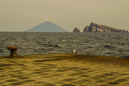 Island of panarea pier seagull and on the horizon stromboli island with its volcano and several cliffs in the tyrrhenian sea