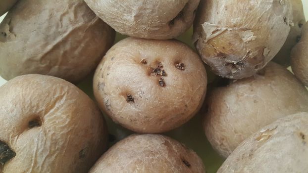  close up view of fresh organic potato in market:  Food background texture of raw potatoes