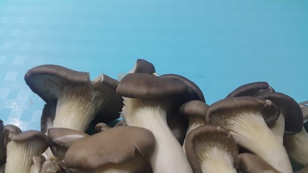 Closeup view of big pile of fresh harvested mushrooms. Food background of mushrooms in market for sale. A Vegetables background
