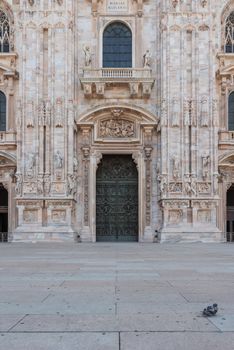 Pigeon laying on the paving of the Milan Cathedral square in Italy, street photography