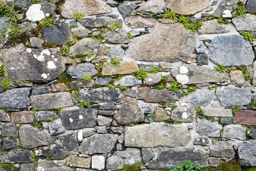 Background from an old stone wall with some green moss