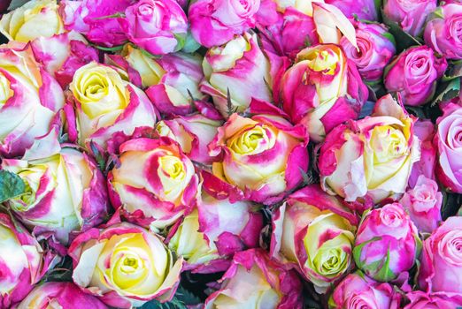 A beautiful background from roses, seen at a market