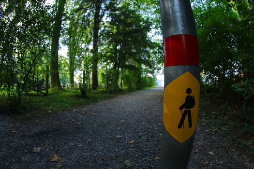 Hiking sign in forrest path on a metal post