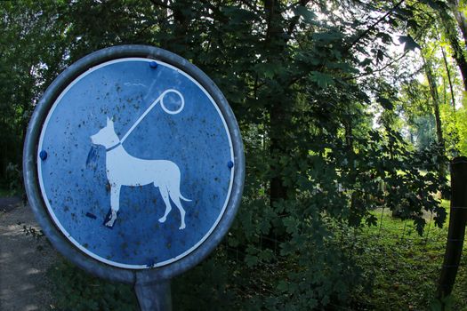 Keep dog on a leash . Blue sign in forrest