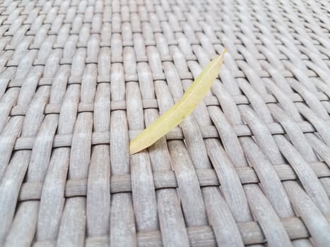 fallen green leaf on brown wicker surface or table