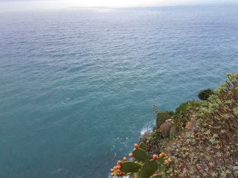 Cinque Terre, Italy - 09/02/2020: Beautiful landscape of a coastal fishing village, amazing view on many little colorful houses, traditional architecture of the little Italian town called Cinque Terre