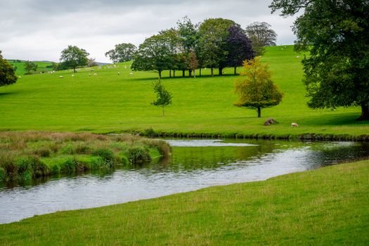 a bend in the River Bela at Dallam Park, Milnthorpe, Cumbria, England